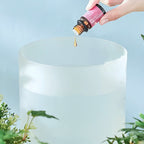 2.5L Ultrasonic Air Humidifier with 7-Color LED Light – Quiet Cool Mist, Top-Fill Design, Home & Office Use