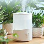 2.5L Ultrasonic Air Humidifier with 7-Color LED Light – Quiet Cool Mist, Top-Fill Design, Home & Office Use
